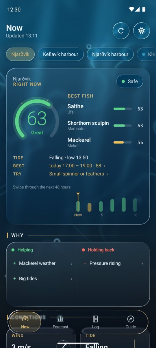 Afli showing the bite score, best fish and tide for the shore